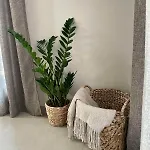 αura Luxury Hotel